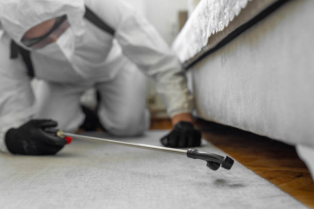 Professional Termite Control technician working in Phelan, CA